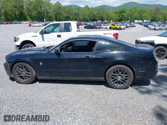 2013 Ford Mustang V6 with VIN 1ZVBP8AM9D5220487, listed as a IAAI auction lot 42189571 with 132,388 mi miles and . Bid and sale history available at DreamBid. Image 14.