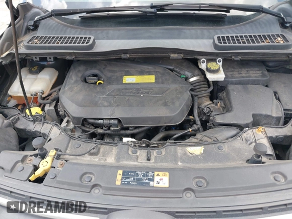 2014 Ford Escape SE с VIN 1FMCU9GX5EUC64187, выставлен на аукционе IAAI как лот 42468943 с пробегом 134 209 миль миль и . История ставок и продаж доступна на DreamBid. Изображение 10.