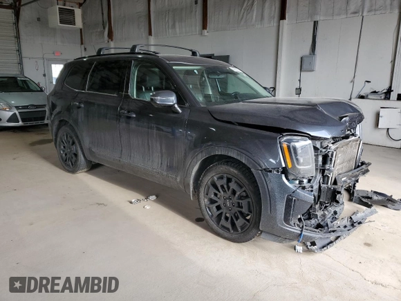 2022 Kia Telluride SX with VIN 5XYP5DHC9NG193935, listed as a Copart auction lot 46589285 with 85,217 mi miles and Salvage title. Bid and sale history available at DreamBid. Image 4.