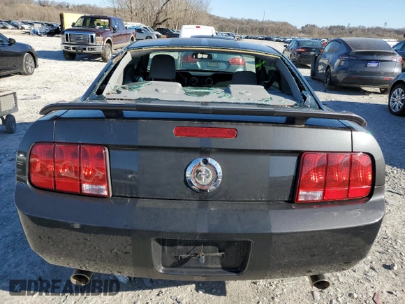 2008 Ford Mustang Deluxe with VIN 1ZVHT80N185183294, listed as a Copart auction lot 49825745 with 173,283 mi miles and Salvage Title. Bid and sale history available at carsss.com. Image 6.