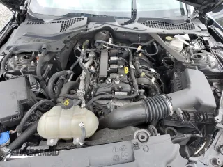 2021 Ford Mustang EcoBoost с VIN 1FATP8UH9M5155295, выставлен на аукционе Copart как лот 53179595 с пробегом 31 288 миль миль и Списание • Salvage title. История ставок и продаж доступна на DreamBid. Изображение 12.