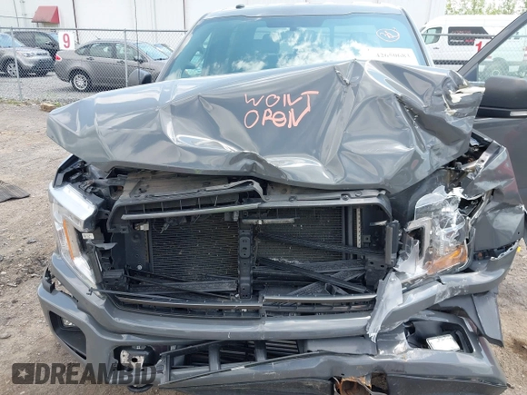 2018 Ford F-150 XL with VIN 1FTEW1EPXJFD25656, listed as a IAAI auction lot 42650683 with 119,326 mi miles and . Bid and sale history available at DreamBid. Image 10.