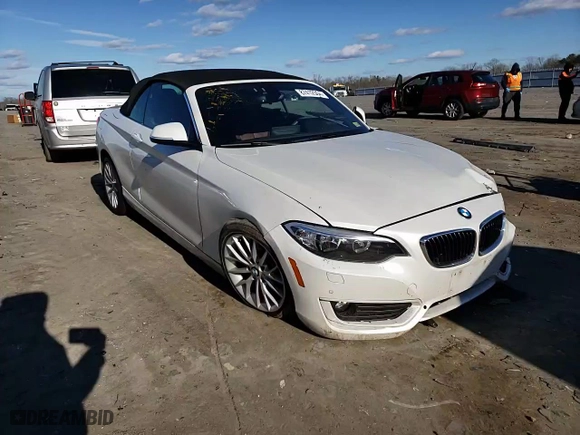 2015 BMW 2 Series 228i xDrive with VIN WBA1K7C57FV235082, listed as a Copart auction lot 87412554 with 75,061 mi miles and Salvage Title. Bid and sale history available at carsss.com. Image 11.