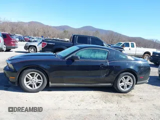 2011 Ford Mustang V6 with VIN 1ZVBP8AM2B5153163, listed as a IAAI auction lot 41645917 with 286,609 mi miles and . Bid and sale history available at carsss.com. Image 15.