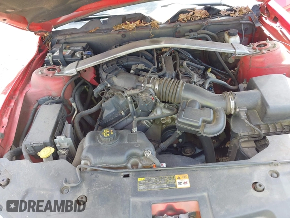 2012 Ford Mustang V6 with VIN 1ZVBP8EM1C5201733, listed as a IAAI auction lot 42162220 with 311,404 mi miles and . Bid and sale history available at DreamBid. Image 10.