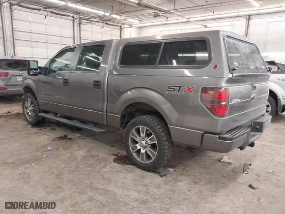 2014 Ford F-150 XL with VIN 1FTFW1EF1EKE83876, listed as a IAAI auction lot 41388725 with 248,807 mi miles. Bid and sale history available at carsss.com. Image 3.