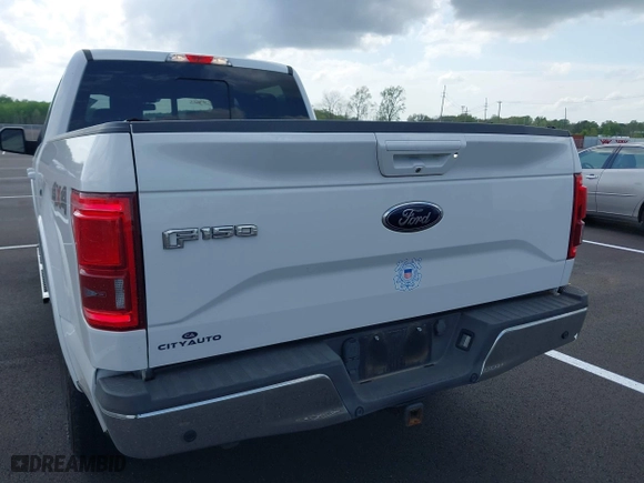 2015 Ford F-150 XLT w/HD Payload Pkg with VIN 1FTFW1EGXFFB88326, listed as a IAAI auction lot 41972016 with 204,767 mi miles. Bid and sale history available at carsss.com. Image 16.