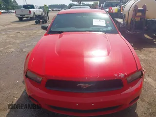 2012 Ford Mustang Premium with VIN 1ZVBP8AM2C5208051, listed as a IAAI auction lot 42264149 with Not provided miles and . Bid and sale history available at DreamBid. Image 13.