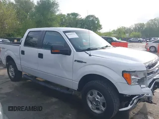 2014 Ford F-150 XL with VIN 1FTFW1EFXEKE92754, listed as a IAAI auction lot 42109551 with 219,130 mi miles. Bid and sale history available at carsss.com. Image 14.