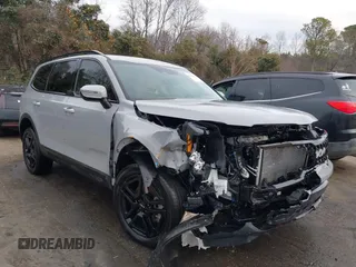 2024 Kia Telluride EX X-Line z VIN 5XYP3DGCXRG491519, wystawiony jako IAAI lot #41154197 z przebiegiem 17 934 mil mil oraz . Historia ofert i sprzedaży dostępna na DreamBid. Obrazek 1.