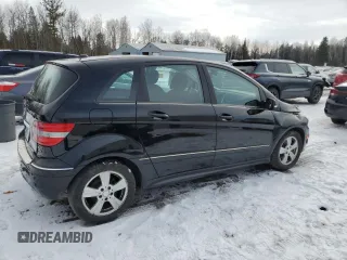 2010 Mercedes-Benz B 200 with VIN WDDFH3DB4AJ568589, listed as a Copart auction lot 47075335 with 124,366 mi miles and Salvage Title. Bid and sale history available at DreamBid. Image 3.