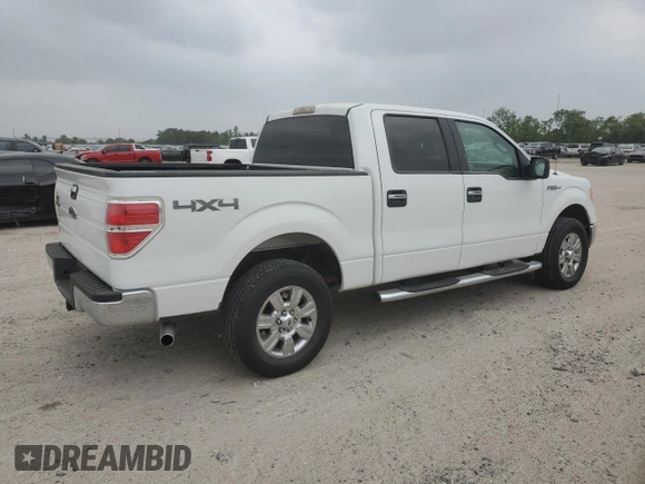 2009 Ford F-150 XL with VIN 1FTRW14849FA84538, listed as a Copart auction lot 51106215 with 165,411 mi miles and Clean title. Bid and sale history available at DreamBid. Image 3.
