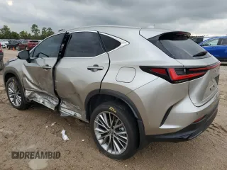 2022 Lexus NX with VIN JTJHGCEZ6N2007244, listed as a Copart auction lot 64692144 with 21,030 mi miles and Salvage Title. Bid and sale history available at carsss.com. Image 2.