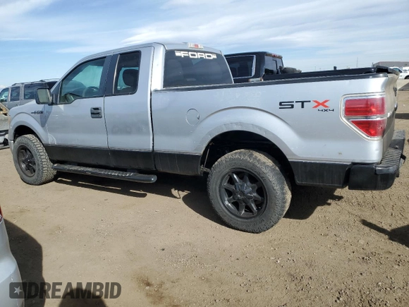 2010 Ford F-150 XL with VIN 1FTEX1EW1AFA91959, listed as a Copart auction lot 48774095 with 308,100 mi miles and Salvage Title. Bid and sale history available at carsss.com. Image 2.
