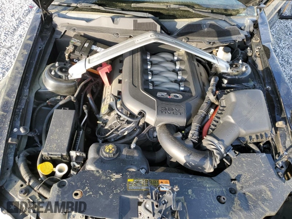 2011 Ford Mustang GT with VIN 1ZVBP8FF0B5110113, listed as a Copart auction lot 51071685 with 110,369 mi miles and Salvage Title. Bid and sale history available at DreamBid. Image 13.