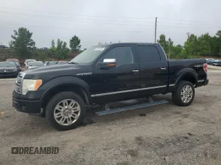 2009 Ford F-150 XL with VIN 1FTPW14V39FA46411, listed as a Copart auction lot 60041665 with 267,792 mi miles and Salvage title. Bid and sale history available at DreamBid. Image 1.