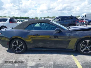 2024 Ford Mustang EcoBoost with VIN 1FAGP8UH9R5123133, listed as a IAAI auction lot 42538350 with 33,581 mi miles and . Bid and sale history available at DreamBid. Image 13.