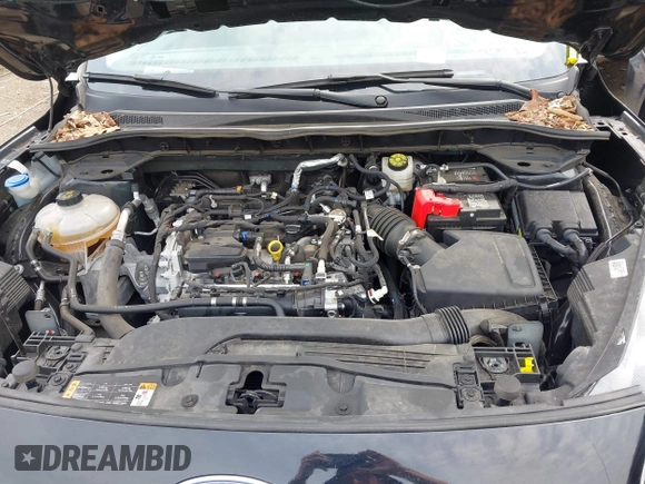 2021 Ford Escape SE с VIN 1FMCU0G65MUB10368, выставлен на аукционе IAAI как лот 42084579 с пробегом 36 043 миль миль и . История ставок и продаж доступна на DreamBid. Изображение 10.