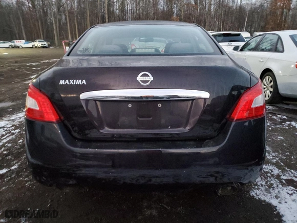 2010 Nissan Maxima 3.5 SV with VIN 1N4AA5AP8AC856212, listed as a Copart auction lot 85853564 with 221,835 mi miles and Clean Title. Bid and sale history available at carsss.com. Image 6.
