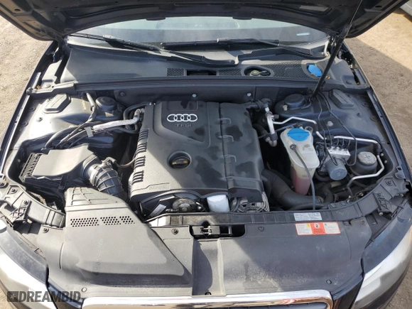 2009 Audi A4 2.0T Prem Plus with VIN WAUSF78K29N049879, listed as a Copart auction lot 48619455 with 67,402 mi miles and Clean Title. Bid and sale history available at carsss.com. Image 11.