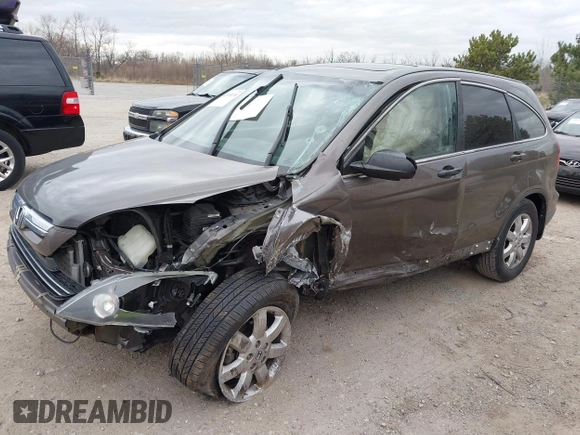2009 Honda CR-V EX with VIN 5J6RE48509L036518, listed as a IAAI auction lot 42074174 with Not Provided miles and . Bid and sale history available at carsss.com. Image 20.