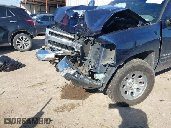 2010 Chevrolet Silverado 1500 LS with VIN 1GCSCREA5AZ134148, listed as a IAAI auction lot 41576732 with 211,421 mi miles. Bid and sale history available at carsss.com. Image 6.