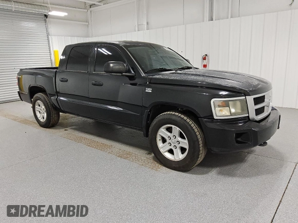 2010 Dodge Dakota Bighorn/Lonestar with VIN 1D7RW3GP4AS264232, listed as a Copart auction lot 82981924 with 192,857 mi miles and Clean Title. Bid and sale history available at carsss.com. Image 4.