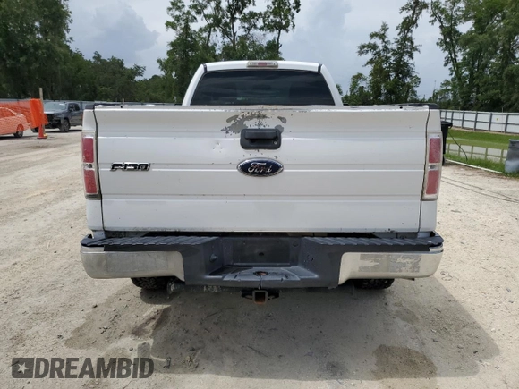 2009 Ford F-150 XL with VIN 1FTRF12W89KB56933, listed as a Copart auction lot 61101415 with 189,462 mi miles and Salvage title. Bid and sale history available at DreamBid. Image 6.