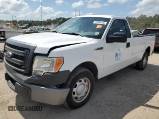 2013 Ford F-150 XL z VIN 1FTMF1CM8DKD83877, wystawiony jako Copart lot #57300245 z przebiegiem 39 564 mil mil oraz Szkoda całkowita • Salvage title. Historia ofert i sprzedaży dostępna na DreamBid. Obrazek 1.
