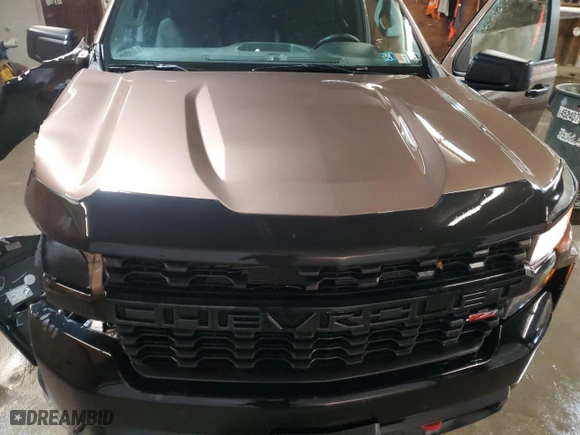 2019 Chevrolet Silverado 1500 Custom Trail Boss with VIN 3GCPYCEF2KG220731, listed as a Copart auction lot 47949865 with 74,962 mi miles and Salvage Title. Bid and sale history available at carsss.com. Image 11.