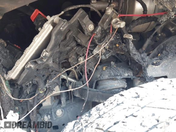 2019 Ram 1500 Big Horn z VIN 1C6RREFT6KN522317, wystawiony jako IAAI lot #41483697 z przebiegiem Nie podano mil oraz . Historia ofert i sprzedaży dostępna na DreamBid. Obrazek 13.