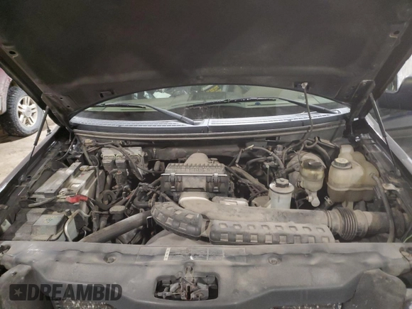 2005 Ford F-150 XLT with VIN 1FTPX14525NB56167, listed as a Copart auction lot 41902755 with 179,417 mi miles and Salvage Title. Bid and sale history available at carsss.com. Image 12.