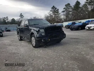 2013 Ford F-150 XL with VIN 1FTFW1ET6DKF08260, listed as a Copart auction lot 42494635 with 252,331 mi miles and Salvage Title. Bid and sale history available at carsss.com. Image 10.