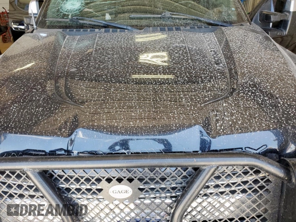2017 Ford F-250 Lariat with VIN 1FT7W2BT2HEB92374, listed as a Copart auction lot 59897975 with 310,479 mi miles and Salvage title. Bid and sale history available at DreamBid. Image 11.