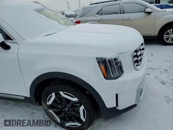 2024 Kia Telluride S with VIN 5XYP6DGC2RG564261, listed as a Copart auction lot 45869985 with 4,606 mi miles and Clean title. Bid and sale history available at DreamBid. Image 12.