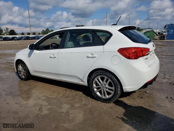 2012 Kia Forte 5-Door EX with VIN KNAFU5A2XC5593205, listed as a Copart auction lot 73847324 with 133,176 mi miles and Non Repairable. Bid and sale history available at carsss.com. Image 2.
