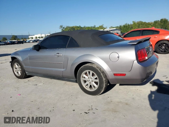 2006 Ford Mustang Standard with VIN 1ZVFT84N965262467, listed as a Copart auction lot 49697655 with 171,122 mi miles and Salvage Title. Bid and sale history available at carsss.com. Image 2.