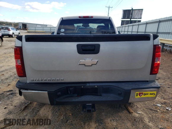 2008 Chevrolet Silverado 1500 Work Truck with VIN 1GCEC14X28Z193298, listed as a Copart auction lot 48049325 with 244,126 mi miles and Salvage Title. Bid and sale history available at carsss.com. Image 6.