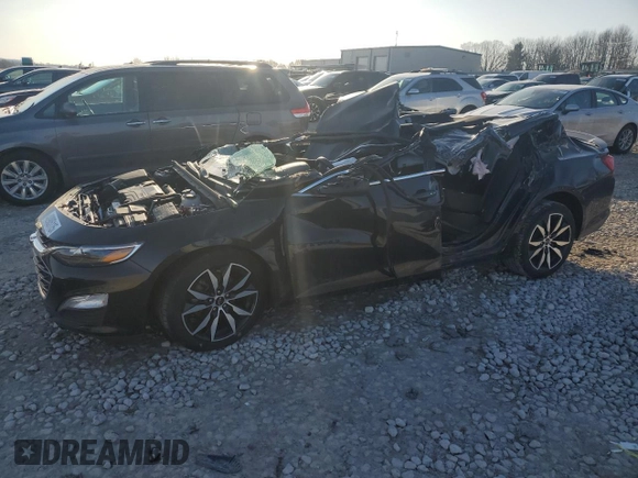 2023 Chevrolet Malibu RS with VIN 1G1ZG5ST9PF245774, listed as a Copart auction lot 48905115 with Not Provided miles and Non Repairable. Bid and sale history available at DreamBid. Image 1.