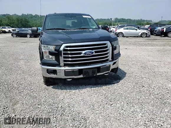 2015 Ford F-150 XLT with VIN 1FTEW1E88FFC08531, listed as a Copart auction lot 60347895 with 263,212 mi miles and Salvage title. Bid and sale history available at DreamBid. Image 13.