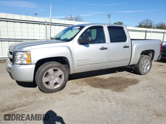 2010 Chevrolet Silverado 1500 LT with VIN 3GCRCSEA6AG205184, listed as a Copart auction lot 88074565 with 198,054 mi miles and Salvage Title. Bid and sale history available at DreamBid. Image 1.