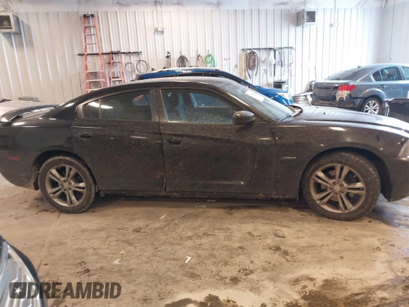 2014 Dodge Charger RT with VIN 2C3CDXDT5EH248671, listed as a IAAI auction lot 41430969 with 173,167 mi miles. Bid and sale history available at carsss.com. Image 13.