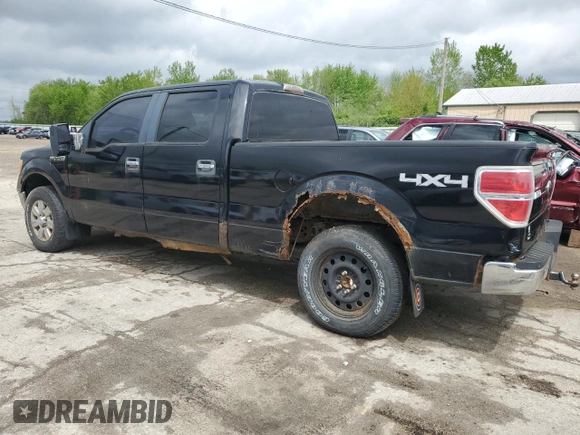2009 Ford F-150 XL with VIN 1FTPW14V39FB07868, listed as a Copart auction lot 55608595 with 114,528 mi miles and Clean Title. Bid and sale history available at carsss.com. Image 2.