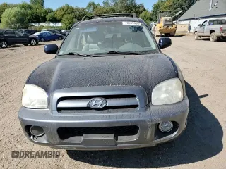 2005 Hyundai Santa Fe GLS with VIN KM8SC13E35U993857, listed as a Copart auction lot 70689634 with 179,947 mi miles and Clean Title. Bid and sale history available at carsss.com. Image 11.
