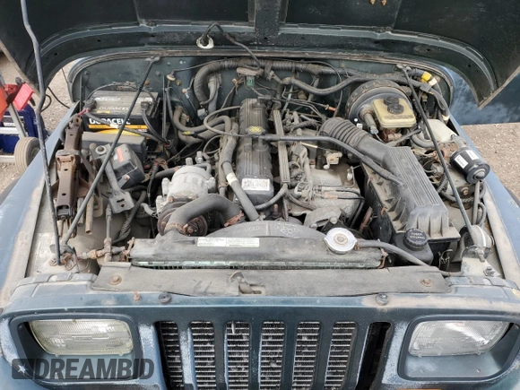 1994 Jeep Wrangler with VIN 1J4FY29S9RP462641, listed as a Copart auction lot 82640444 with 60,088 mi miles and Clean Title. Bid and sale history available at carsss.com. Image 11.