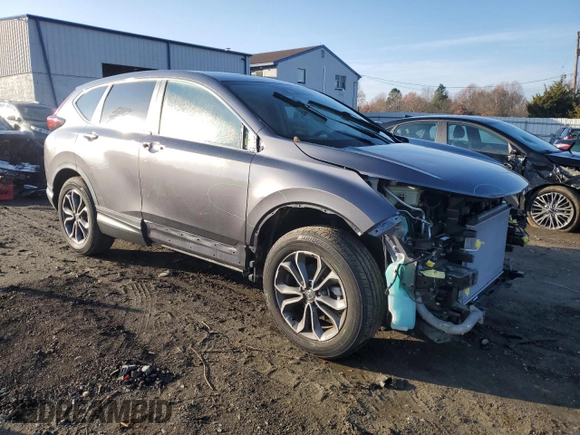 2020 Honda CR-V EX with VIN 5J6RW2H53LA017496, listed as a Copart auction lot 81454484 with 12,322 mi miles and Salvage Title. Bid and sale history available at DreamBid. Image 4.