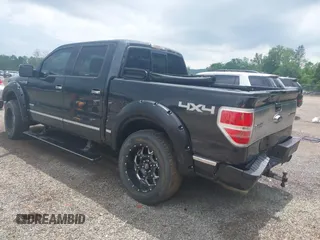 2014 Ford F-150 XL with VIN 1FTFW1ET9EFC24583, listed as a IAAI auction lot 42454980 with 158,364 mi miles and . Bid and sale history available at DreamBid. Image 3.