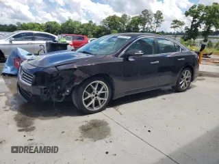 2010 Nissan Maxima SV with VIN 1N4AA5AP8AC858719, listed as a Copart auction lot 52701705 with 358,090 mi miles and Salvage title. Bid and sale history available at DreamBid. Image 1.