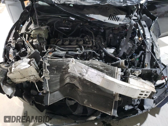 2016 Honda Civic EX-L with VIN 19XFC1F72GE020764, listed as a Copart auction lot 49621775 with Not provided miles and Salvage title. Bid and sale history available at DreamBid. Image 13.