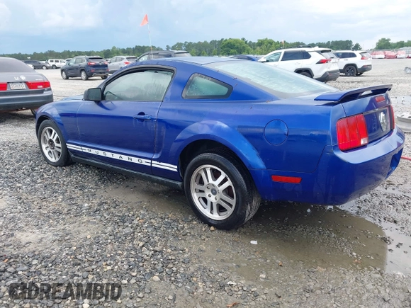2005 Ford Mustang Deluxe with VIN 1ZVFT80N555143979, listed as a IAAI auction lot 42502001 with 201,721 mi miles and . Bid and sale history available at DreamBid. Image 3.